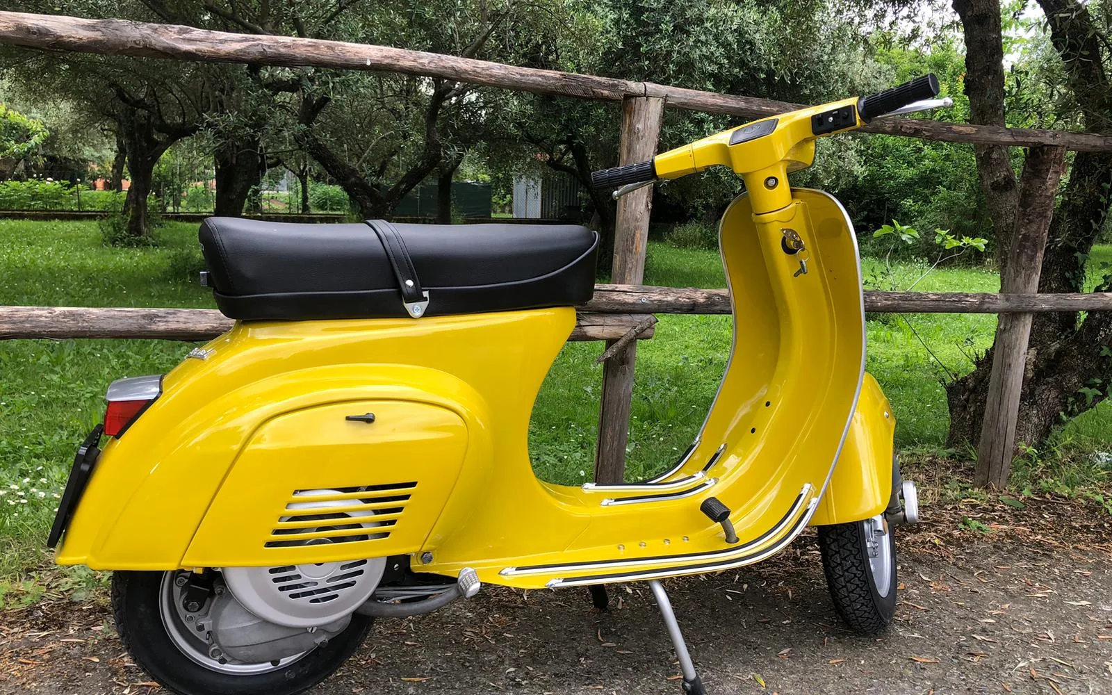 Yellow classic Vespa photographed among olive trees